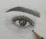 Sedia Brows
